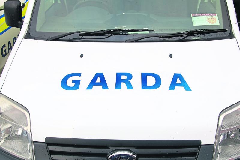 Gardaí arrest two for public order offences in Limerick town