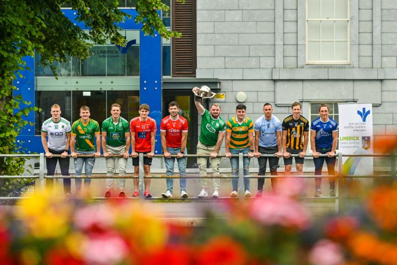 Limerick All-Ireland winners in opposition as club hurling championship throws in