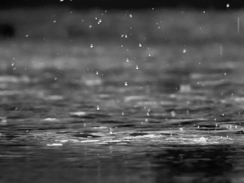 WEEKEND WEATHER: Humid and wet conditions expected for the weekend ahead