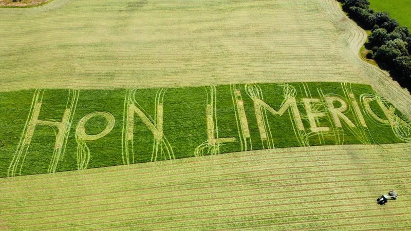 In clover: Limerick farmer’s massive good luck message to hurling team ahead of All-Ireland final