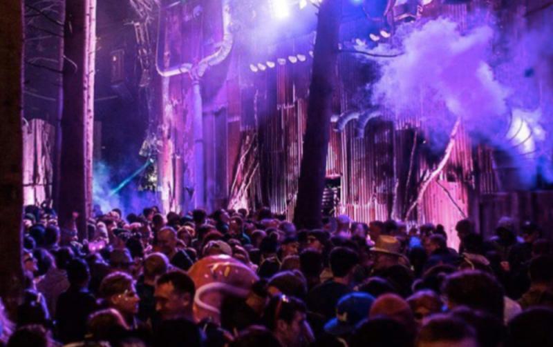 Mysterious new wooded area appears at Electric Picnic 2022