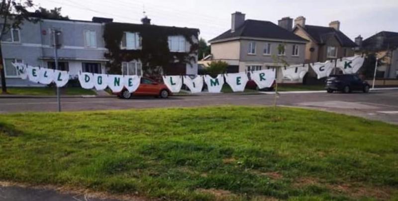 Lucky knickers for Limerick hurlers 'knicked' from clothes line