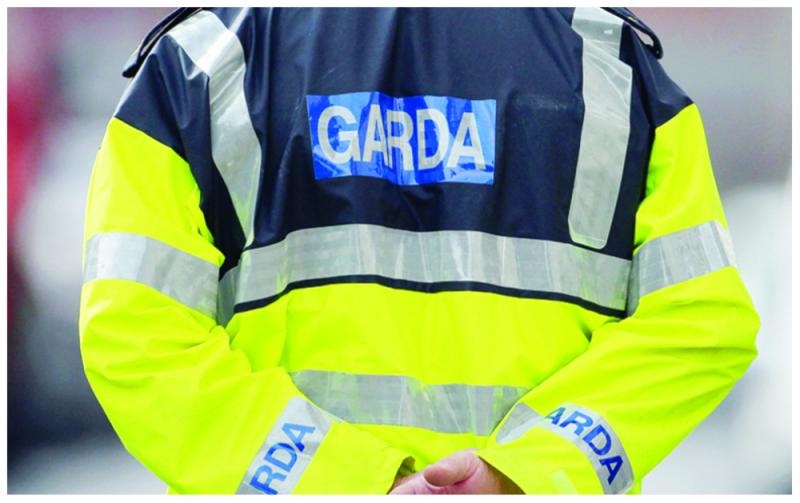 Garda investigation underway following fatal assault of woman