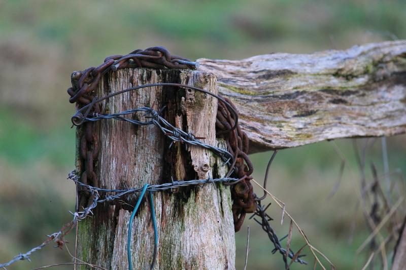 Limerick farmers are being ‘terrorised in their yards’ claims farming organisation