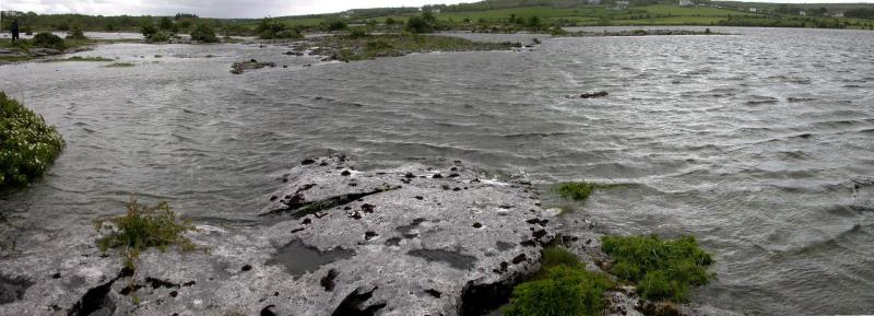 Wild About Wildlife: Exploring Loughmore Common 
