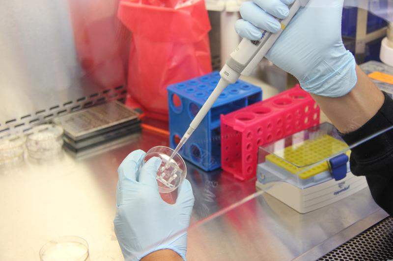 Johnson & Johnson seeks to inspire female students from Limerick to pursue a career in STEM