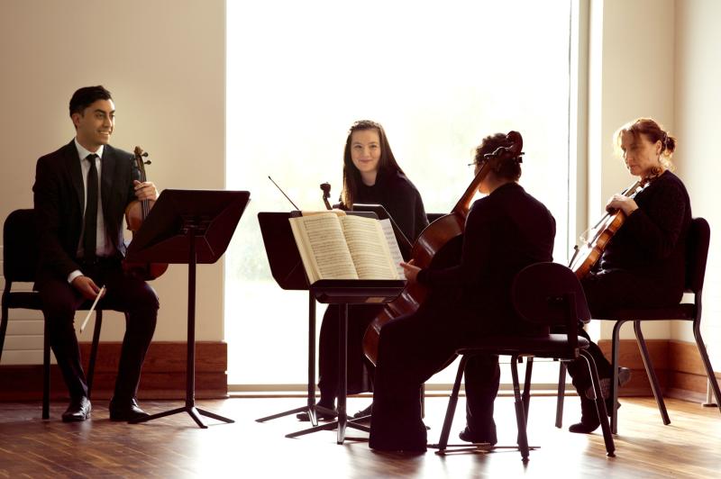 Irish Chamber Orchestra provides scholarships for two masters students in Limerick