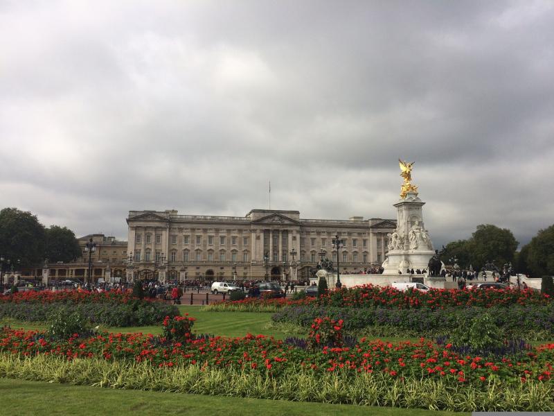 The queen’s gardener! Limerick man speaks about his work in award-winning palace gardens