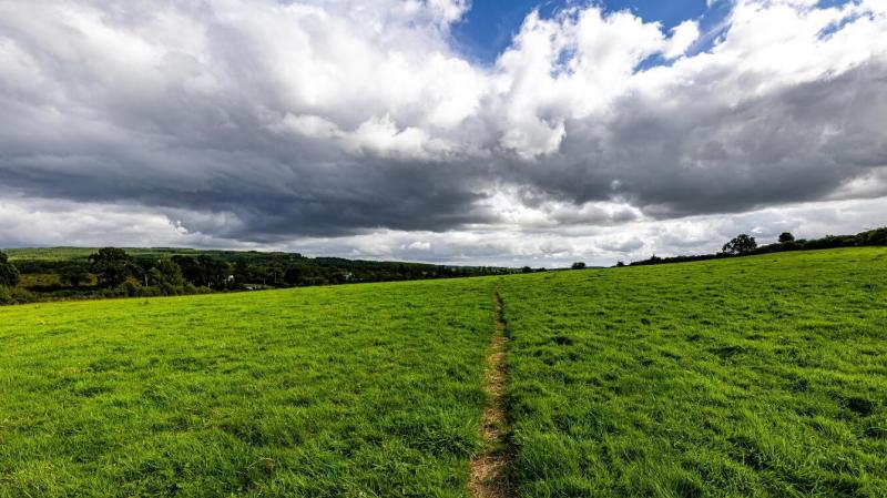 Strong Limerick interest expected at auction of Newport farm 