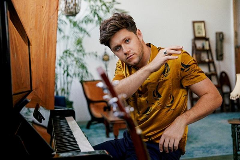 Irish singer Niall Horan set to join music talent show