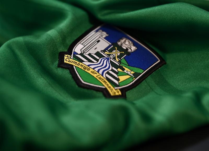 Limerick Underage Hurling Academy recruiting new coaches for the 2023 season