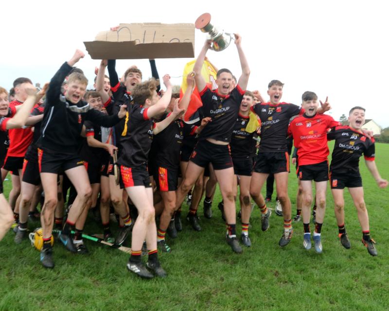 Ardscoil Ris crowned Munster hurling champions after Dean Ryan Cup thriller with  Thurles