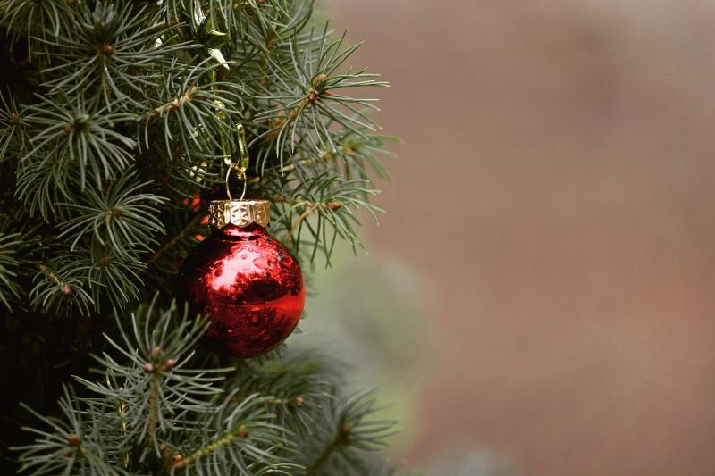 Special giving tree at Limerick's King John’s Castle will be the collection point for donated toys