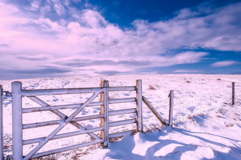 Limerick farmers urged 'safety first' in cold snap
