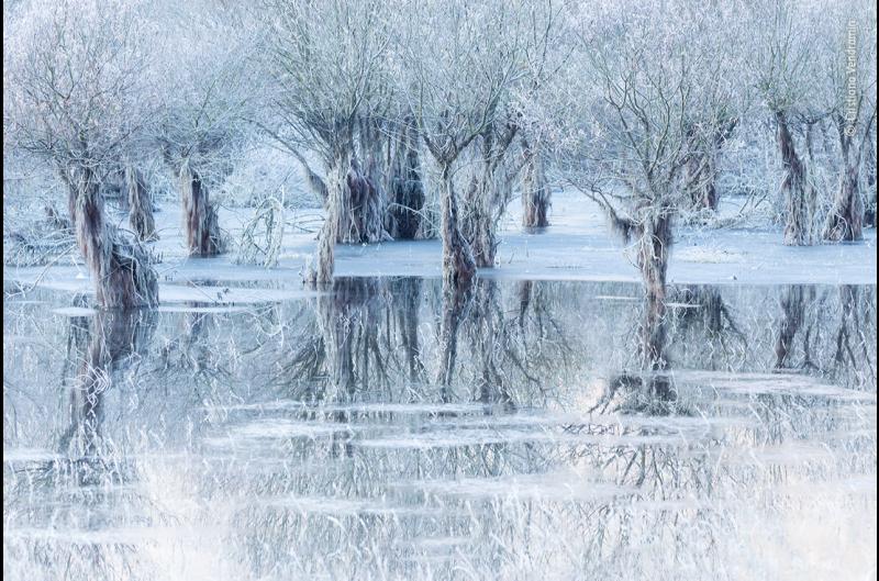 Status Orange warning issued by Met Éireann as temperatures could plunge to -11C tonight