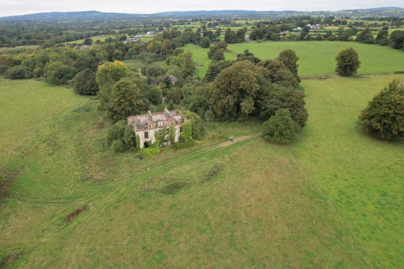 Limerick Property Watch: Famed Doonass House makes €1.65million at auction