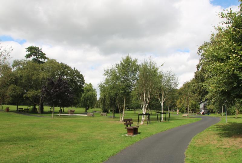 Guilty plea entered following violent incident in Limerick village