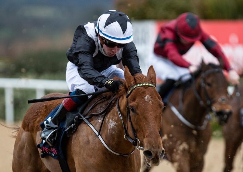 WATCH: Limerick jockey Wesley Joyce celebrates first success since returning from serious injury lay-off