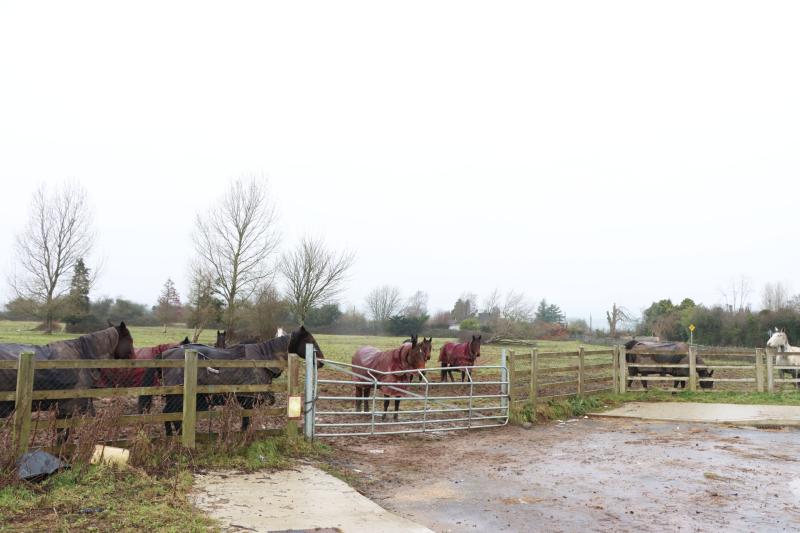 Permission granted for 99 new homes in Limerick development