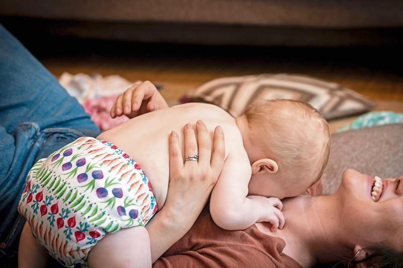 Green Limerick: New training course aims to advance  sustainability in farming