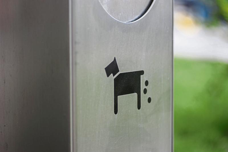 &lsquo;Clean it up, you dirty pup&rsquo; say Limerick councillors