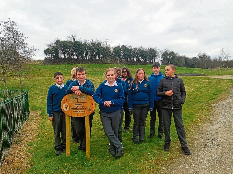 Green Limerick: Students at Limerick schools shoot for the moon