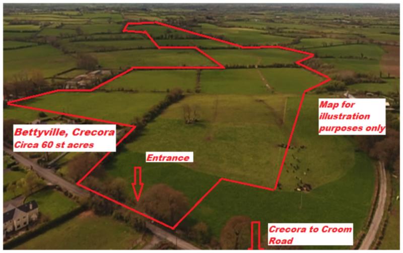 Sherry FitzGerald Stack: Excellent opportunity to acquire prime quality lime stone land