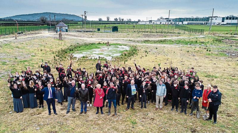 Green Limerick: Biodiversity forest is growing at Limerick school