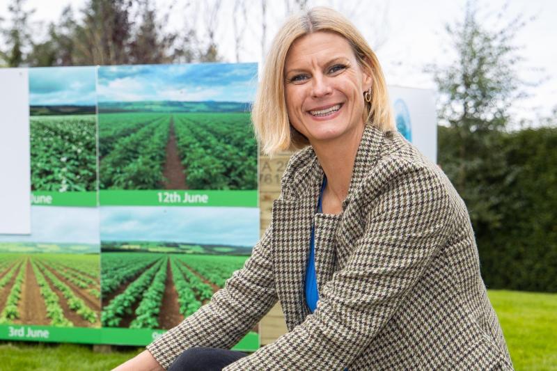 Laois Offaly Minister believes there is  an eviction 'safety net'