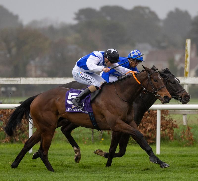 Limerick racing connections enjoy