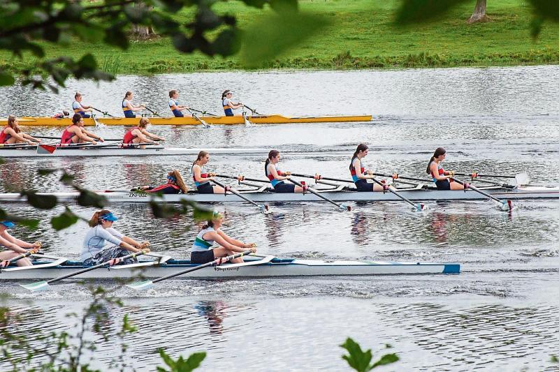 Six local rowing clubs combine to host this weekend's Limerick Regatta