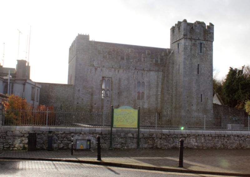 Strong growth in visitors to Limerick heritage sites