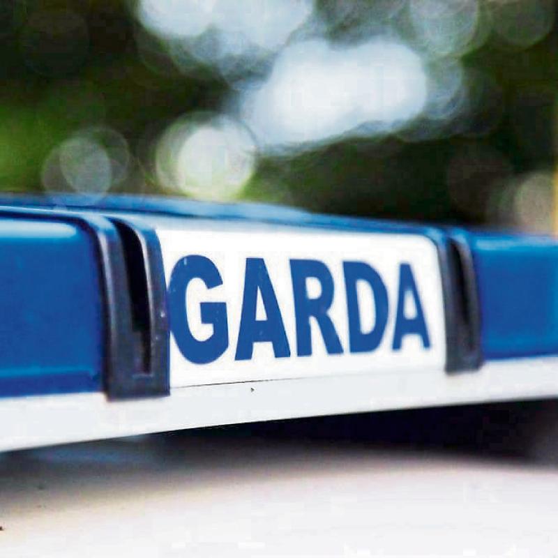 Garda probe targets organised crime in Limerick area