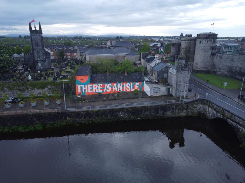 Latest addition to Limerick's 'street art' portfolio is unveiled