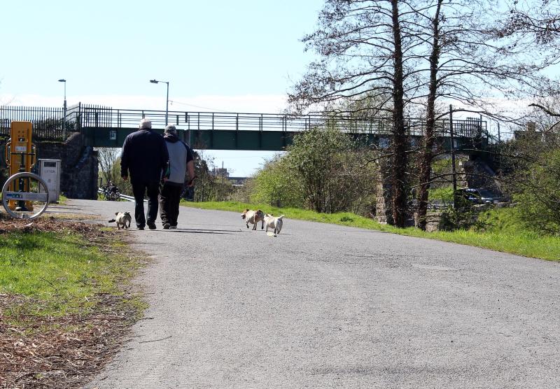 Issue over maintenance of Limerick's greenway routes addressed