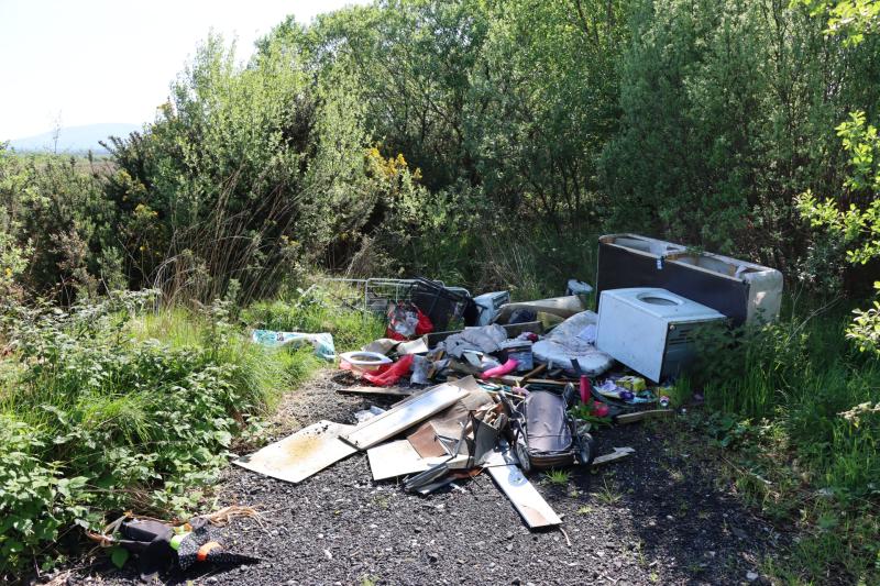 Taxpayer to foot bill to clear ‘illegal’ dump at Limerick bog