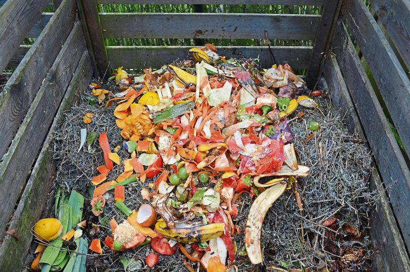 Green Limerick: Time to manage our food waste  wisely