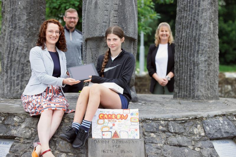 Limerick student emerges as winner of national safety competition