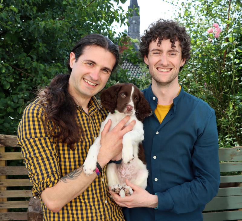 Those puppy dog eyes: Limerick couple put their 'trust' in dog welfare charity