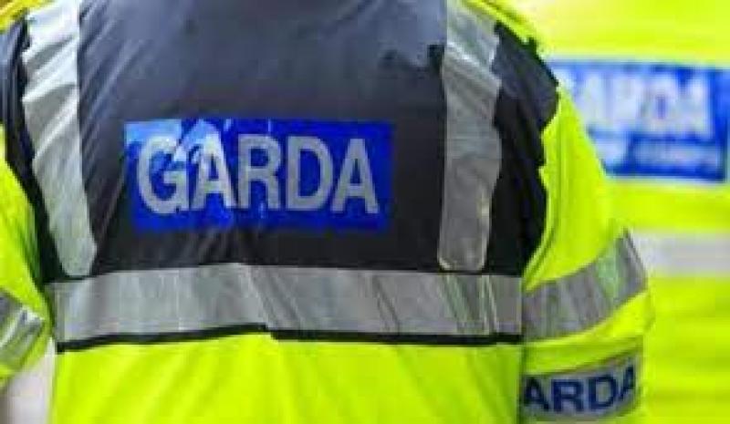  Gardaí investigate assault of 40-year-old woman in Limerick city 