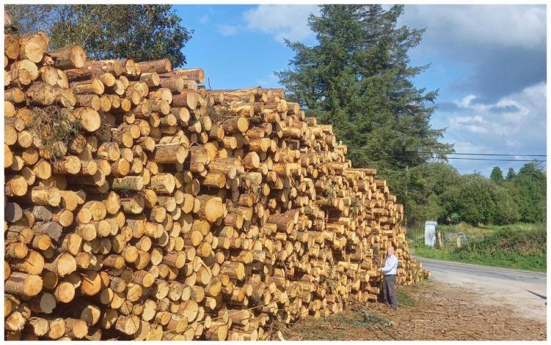 The Forestry Cycle - Growing the forest, harvesting and haulage