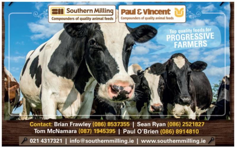 Animal feeds: Finding the right mix for you is easy at Southern Milling