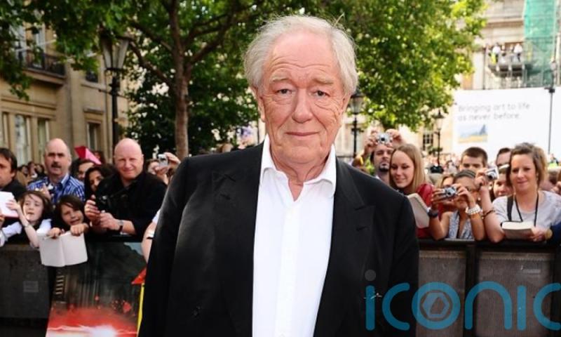 Beloved Irish actor who starred as Dumbledore in Harry Potter films dies aged 82