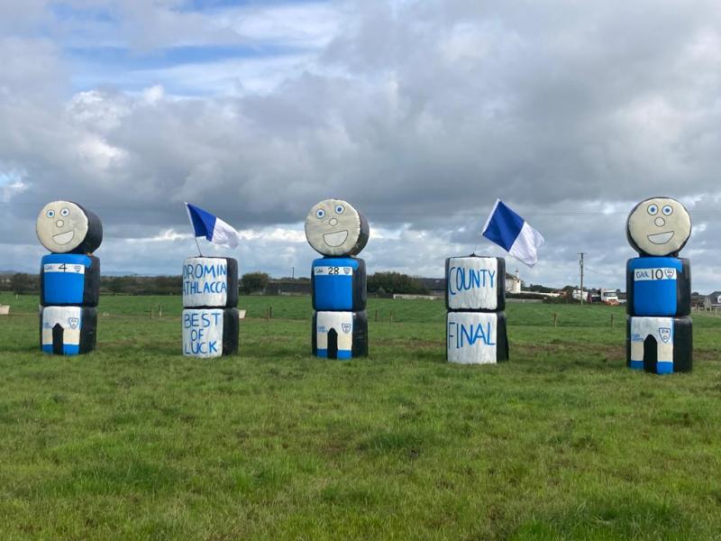 Family show novel support for newly crowned Limerick club hurling champions 