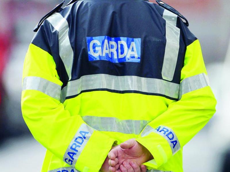 National: Garda&iacute; seize over &euro;130,000 worth of drugs in Dublin
