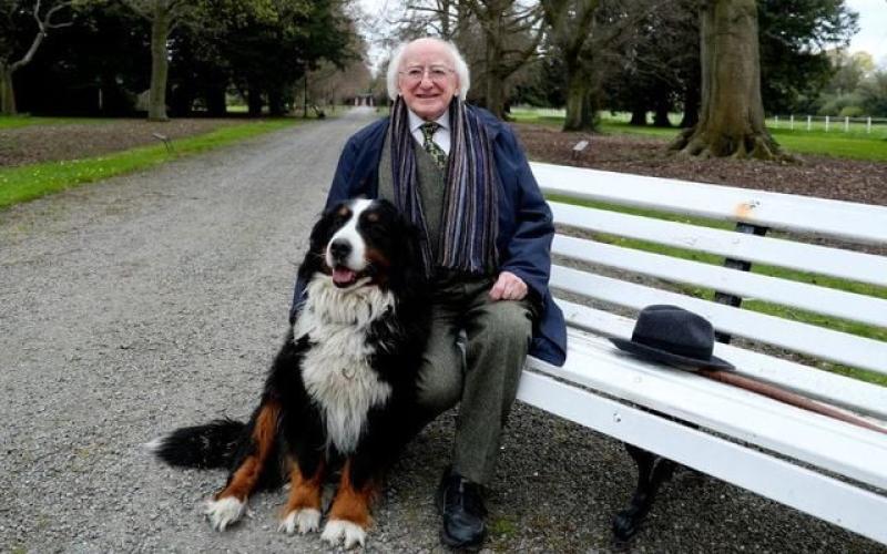 President Michael D Higgins receives award in memory of his late dog