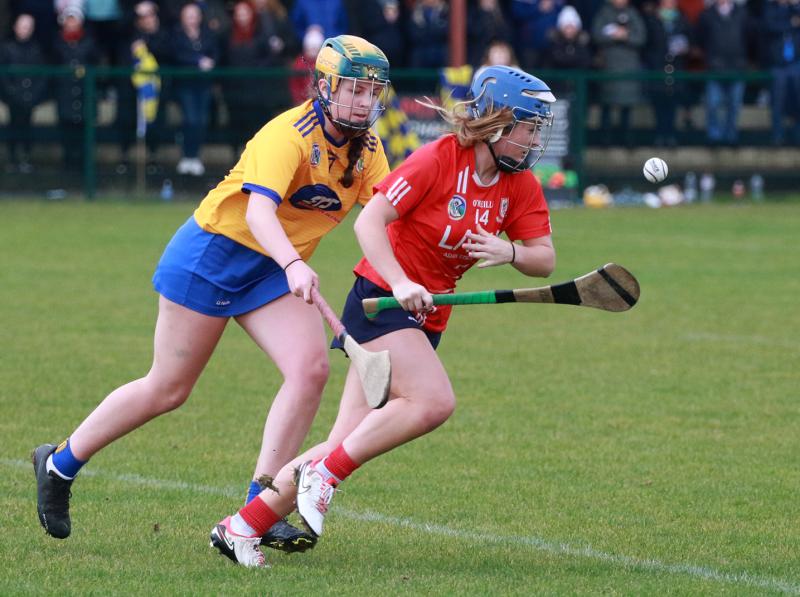 Monaleen to face Clare club in Munster junior camogie final 