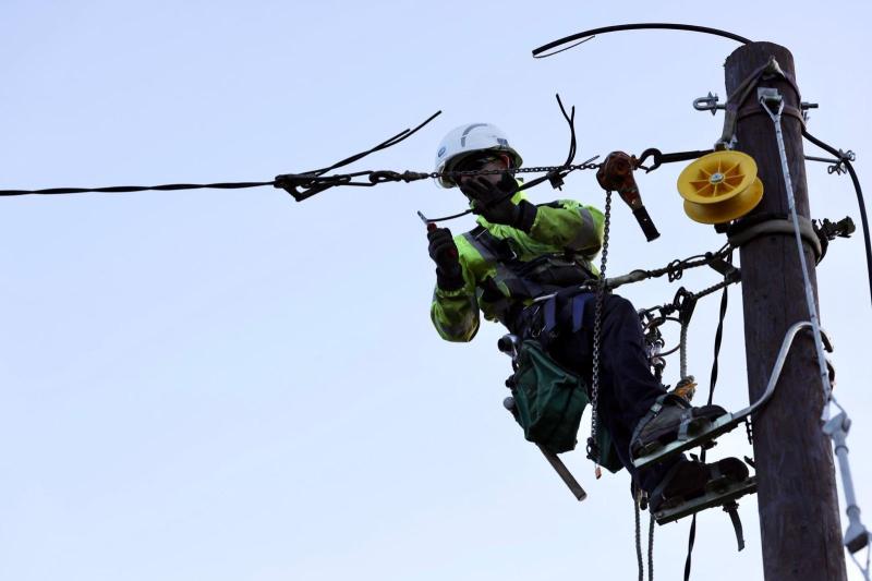 National: What the peck? Woodpeckers spark electricity outages