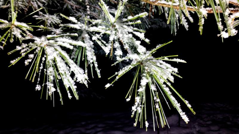 Alert: Hazardous conditions forecast in Limerick as Ice warning takes effect