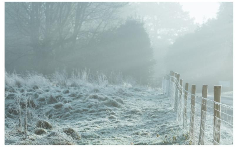 Met Éireann says animal welfare at risk as cold weather warning issued